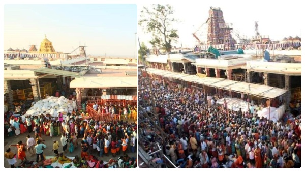 15 Tons of Panchamirtham for Palani Dandayuthapani Tradition of Edappadi Devotees Interesting Background 15 Tons of Panchamirtham for Palani Dandayuthapani Tradition of Edappadi Devotees Interesting Background