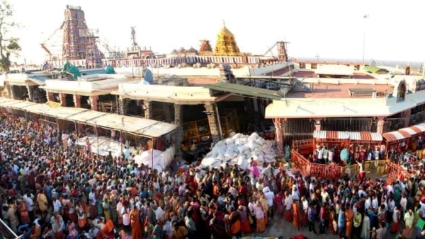15 Tons of Panchamirtham for Palani Dandayuthapani Tradition of Edappadi Devotees Interesting Background 15 Tons of Panchamirtham for Palani Dandayuthapani Tradition of Edappadi Devotees Interesting Background