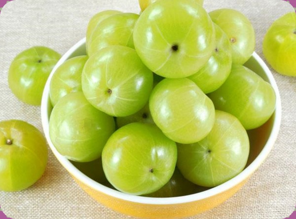 நெல்லிக்காய் நெல்லிக்காய்