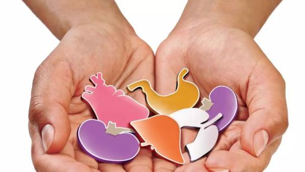 புதுக்கோட்டை கல்லீரல் 