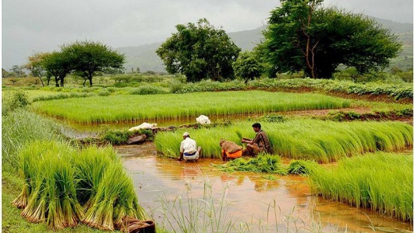  பிரத்யேக நிபுணர் குழுக்கள்