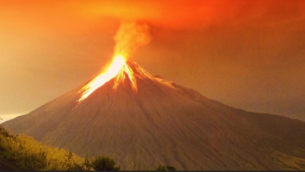 மீண்டும் உயிர்ப்பிப்பு 