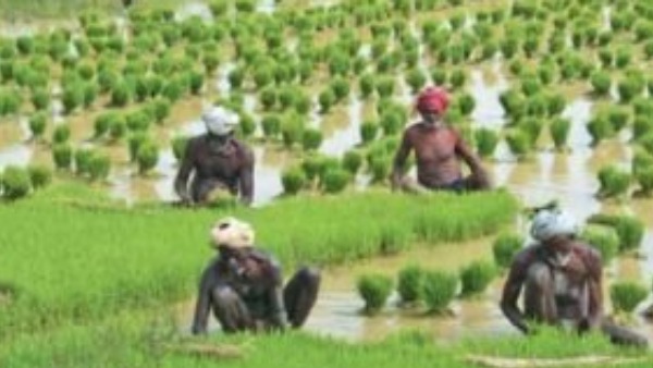  விவசாயிகளை தேடி வந்து ஆலோசனை