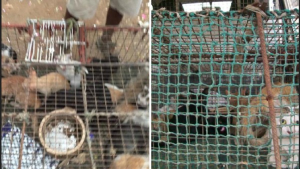 ஹோட்டல்கள்