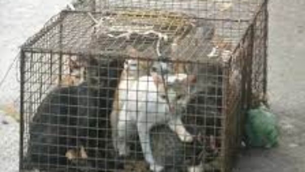 அதிர்ச்சி