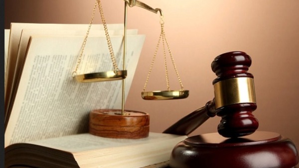 Interlocutory petition that led to the judgment in admk general committee case 