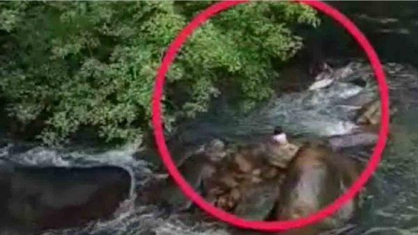 குழந்தையை காப்பாற்றினார் 