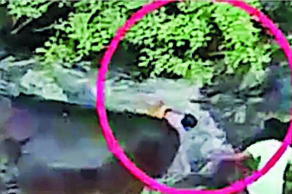 மக்கள் பாராட்டு 