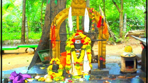 கலருக்கு சண்டை 