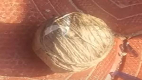 நாட்டு வெடிகுண்டுகள் வீச்சு நாட்டு வெடிகுண்டுகள் வீச்சு