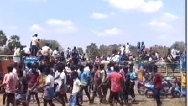 சிவராத்திரியையொட்டி மஞ்சுவிரட்டு