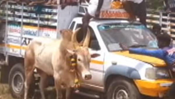 நாளை வெளிநாடு செல்ல..