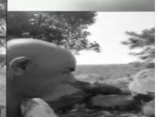 லைவ் வீடியோ லைவ் வீடியோ