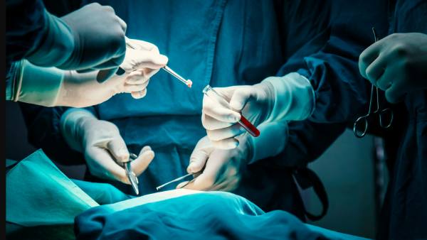 ஆசிரமத்தில் இருந்து மீட்பு 