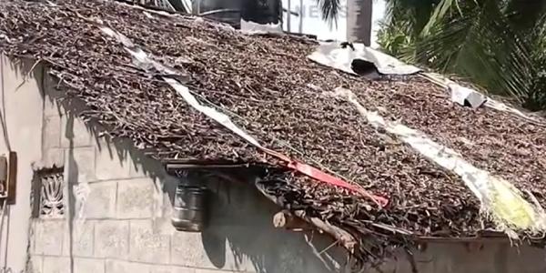  ஊரைவிட்டு ஒதுக்கப்பட்ட கொடூரம்