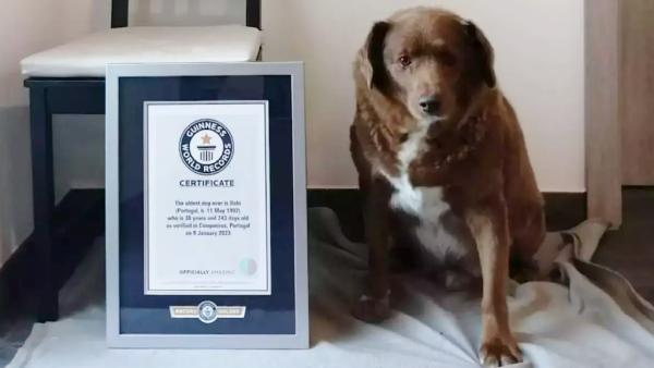 உடல்நலம் 