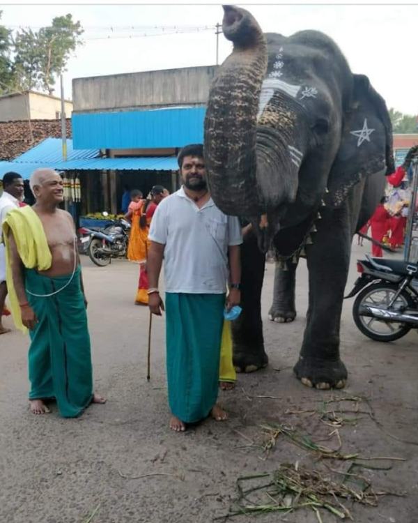 துர்க்கா அம்மா 