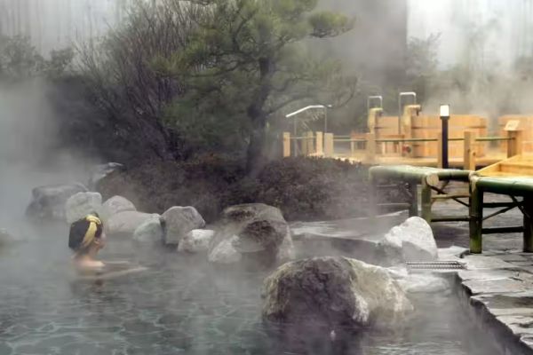  விஐபி பிள்ளைகள்