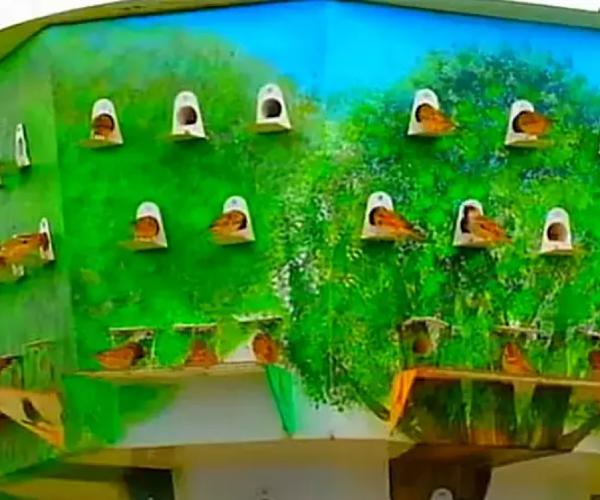  எவ்வளவு பெரியது