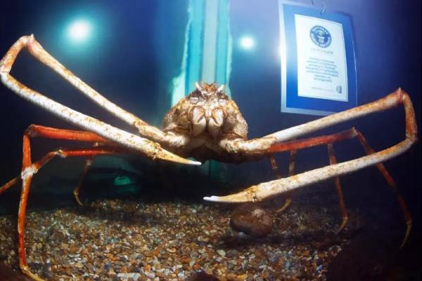 நிராகரிப்பு