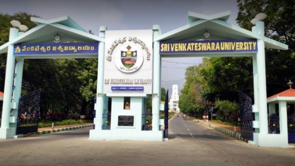 பி.காம்., எம்.காம்-க்கு.. 