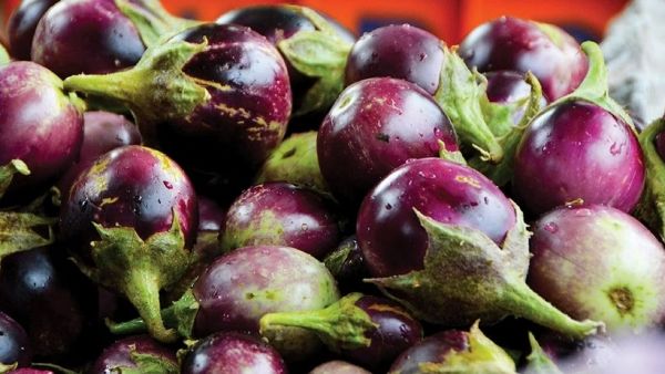 Vellore Elavambadi Brinjal,ramanathapuram gundu milagai get Geographical Indication tag 