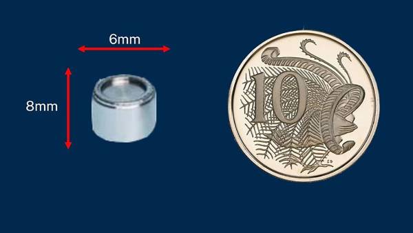 தேடுதல் வேட்டை தேடுதல் வேட்டை