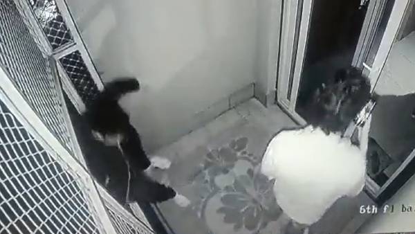  என்ன நடந்தது