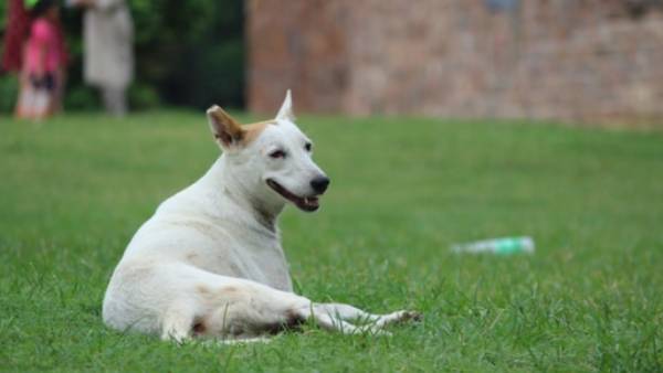 போலீசில் புகார்