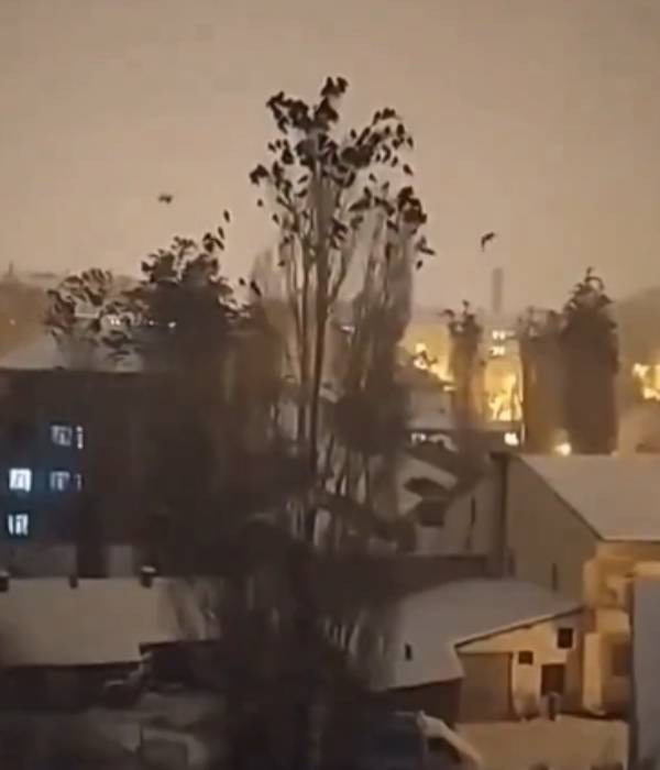 A group of birds that sensed the earthquake in advance Researcher who tweeted 3 days ago 