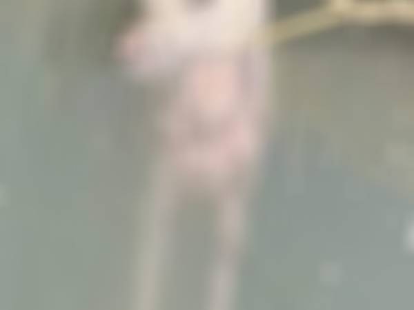  அழுகிய நாய்