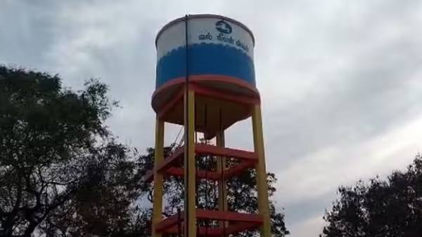  நாய் சடலம்