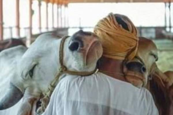 ஏன் தெரியுமா