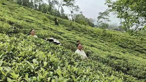 சட்டப்படி குற்றம் 