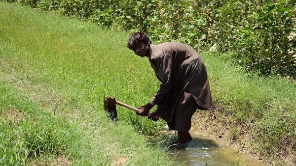 விவசாயிகள் 