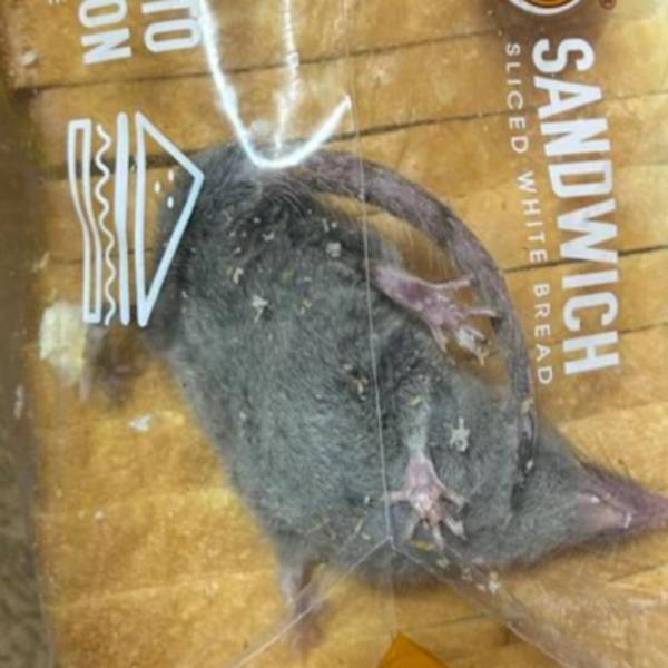 மக்கள் கண்டனம் 