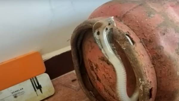 அலறிய உறவினர்கள் அலறிய உறவினர்கள்