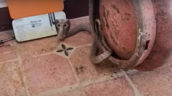 அடிக்காதீர்கள் அடிக்காதீர்கள்