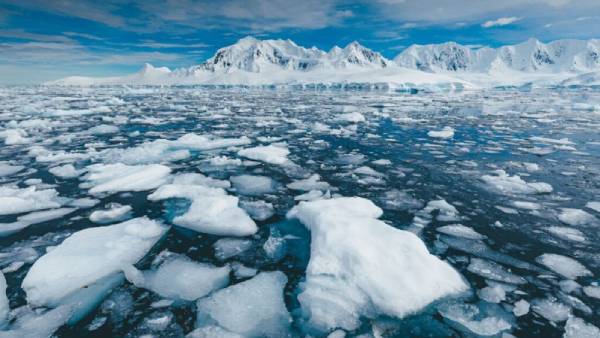 பனிக்கட்டி