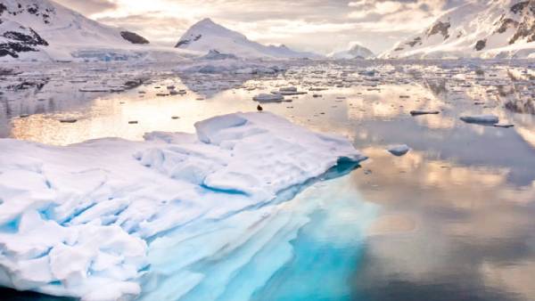 வார்னிங்