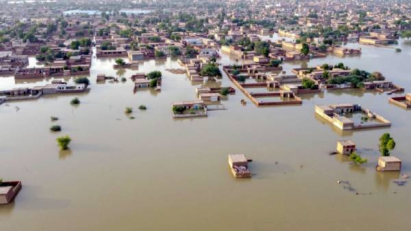  அறிக்கையும் கவலையும் 
