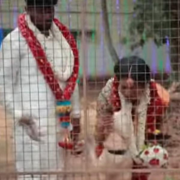  சேலை முந்தானை 