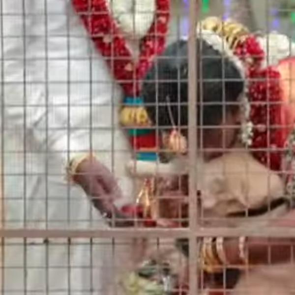  குரைத்த நாய் 