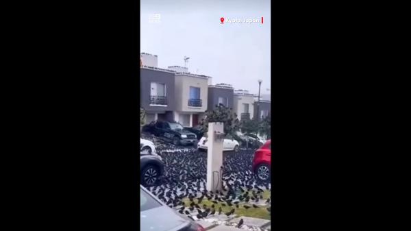  சரியாக கணித்த ஆராய்ச்சியாளர்