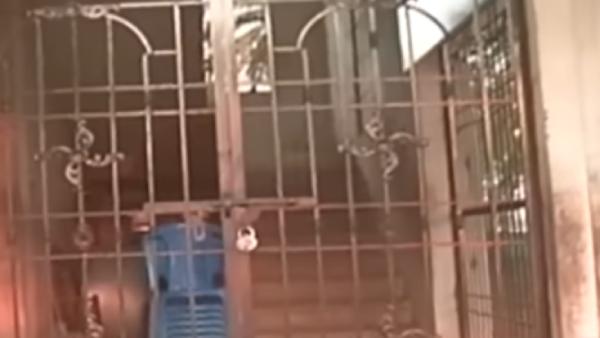  லைசென்ஸ் எங்கே