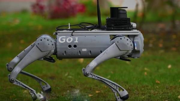 மலிவான விலை 