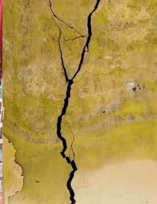 நிலத்தில் மூழ்கும் டோடோ 