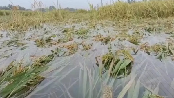 எந்த திட்டமும் கூடாது 