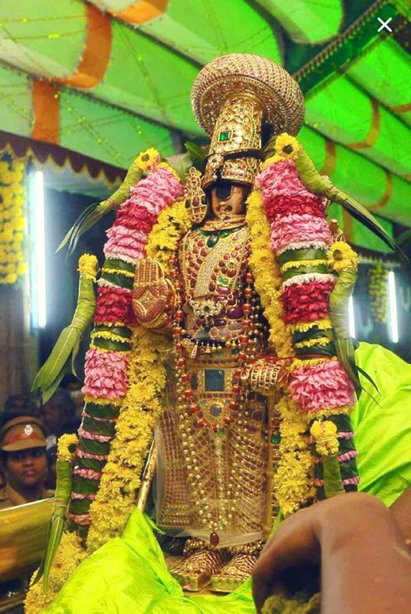 Srirangam Ranganathar Temple Bhupati Thirunal Thai car Festival held today 