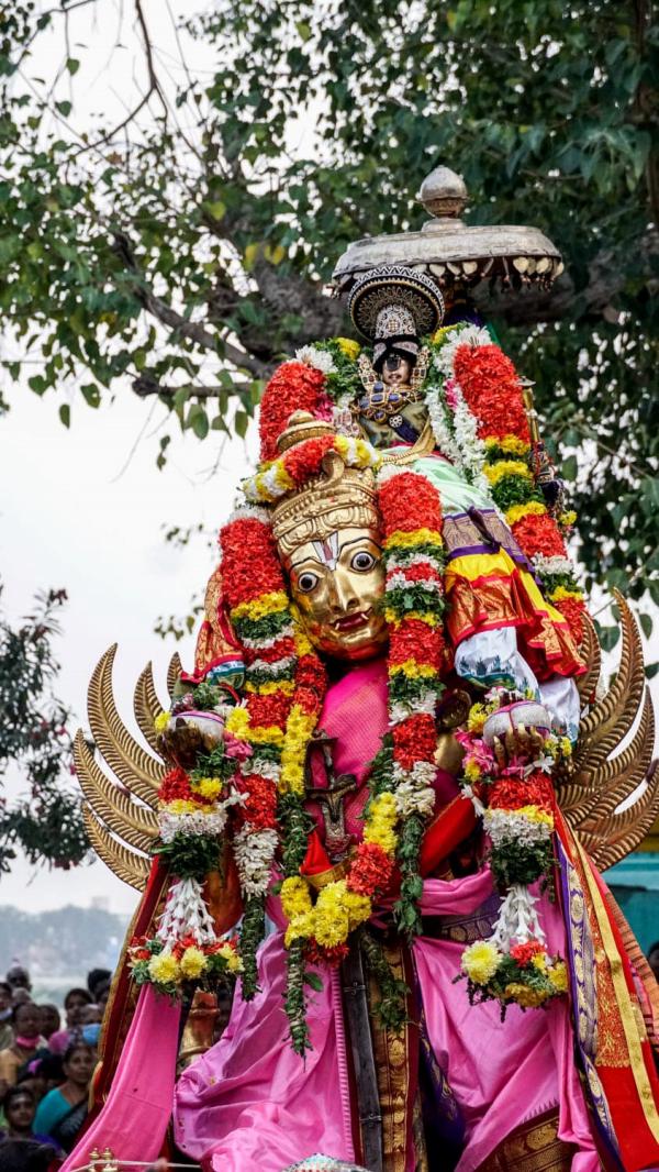 Srirangam Ranganathar Temple Masi Theppathiruvila Garuda sevai on 26th Februray Srirangam Ranganathar Temple Masi Theppathiruvila Garuda sevai on 26th Februray